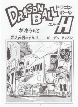 Page 24 of DRAGONBALL H Bessatsu Soushuuhen