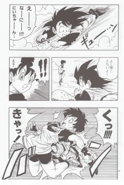 Page 26 of DRAGONBALL H Bessatsu Soushuuhen