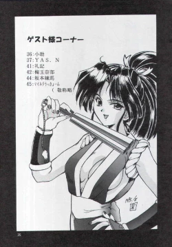 Page 34 of F-25 Samurai