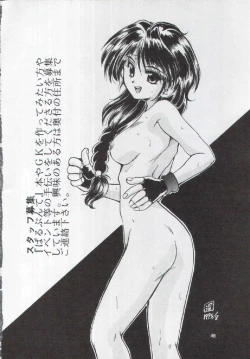 Page 47 of F-25 Samurai