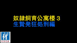 [Naya] Dorei Shiiku Mansion 3 Ikenie Hakkyo Shokei-Hen [Chinese] [有条色狼汉化]