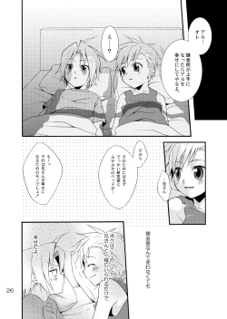 Page 25 of Kimame ni Tsubu Iri