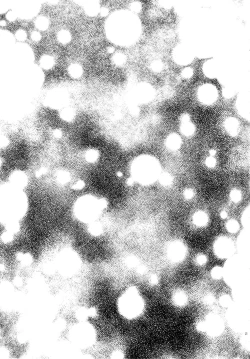 Page 21 of Derenai Melt to Dorodorox