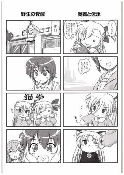 Page 24 of Nano-para 14