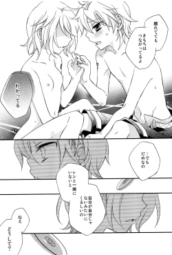 Page 26 of Kagamine Len x Rin Seijin Muke Sairokushuu RECORD Rimen