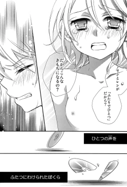 Page 27 of Kagamine Len x Rin Seijin Muke Sairokushuu RECORD Rimen