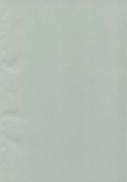 Page 2 of Ermafrodito!