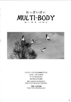 Page 33 of MULTI-BODY