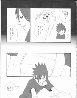 Page 32 of Dream Passport