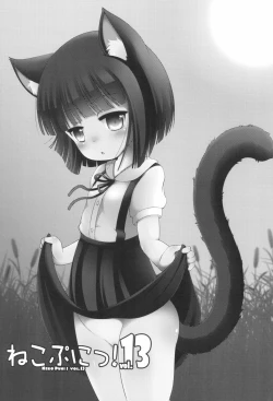 Page 3 of Neko Puni! vol.13