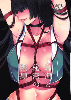 Download Choukai to, Himitsu no, Keibaku.