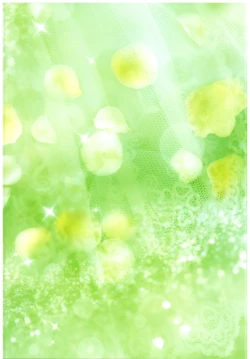 Page 22 of Shining Knight Green