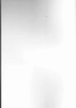 Page 2 of Soredewa hajimete mimashou ka?