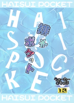 Page 21 of Haisui Pocket