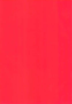 Page 2 of Rental! +α