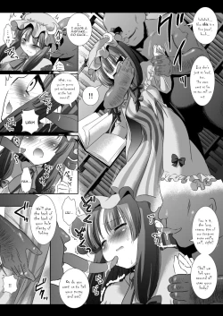 Page 5 of Touhou H Go