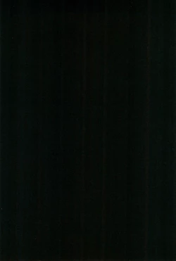 Page 4 of Touhou Roadkill Joint Publication