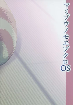 Page 22 of Mamizou no Moebukoro OS