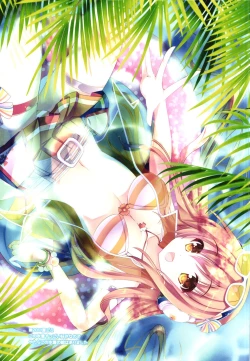 Page 14 of Tropicana Mix