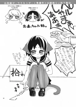 Page 21 of Sachinekos