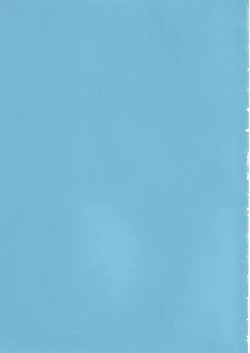 Page 2 of metropolis