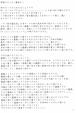 Page 4 of Touhou Ran Ranryuu