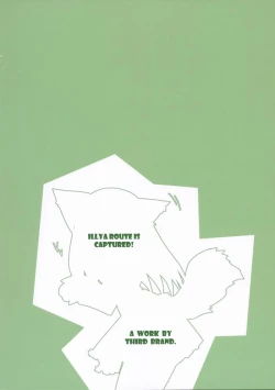 Page 2 of Illya Route Kouryaku! Ni.