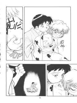 Page 16 of Evan 26.5 3