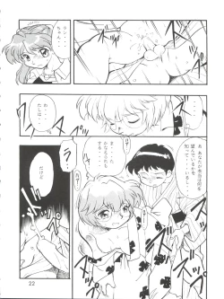 Page 22 of Evan 26.5 3