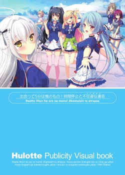 Page 3 of Hulotte Publicity Visual book