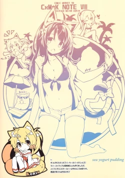 Page 19 of CxMxK NOTE VIII