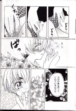 Page 12 of Wolf and Cherry