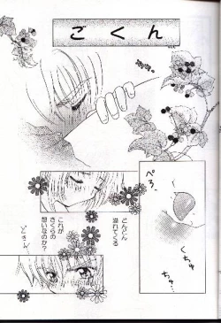 Page 15 of Wolf and Cherry