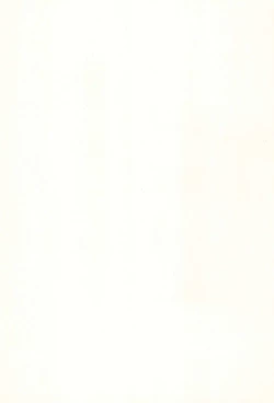 Page 3 of Gensoukyou Inkou Shobatsu Kitei Joubun