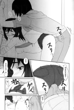 Page 13 of Suruga Test