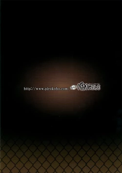 Page 25 of Suruga Test