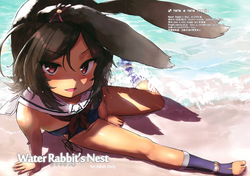 Download Water Rabbit's Nest