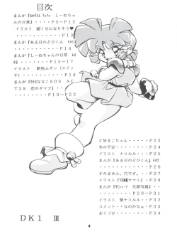 Page 4 of DK-1 III
