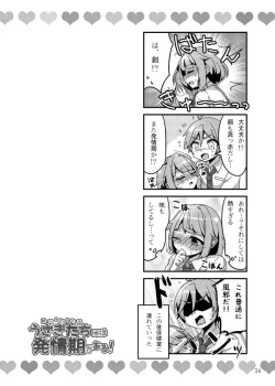 Page 26 of うさぎたちには発情期がある！