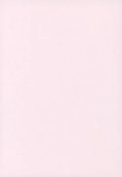 Page 29 of Mayoi Neko