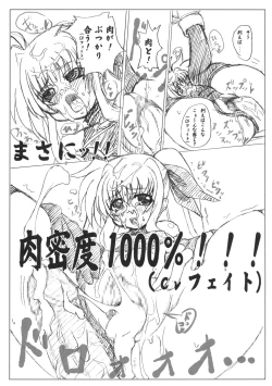 Page 32 of Gekkan Fate. GX