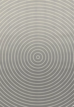 Page 20 of Zettai Saimin Nante Kakaranai Kuma!