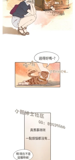 Page 31 of 恶女来了请小心