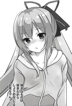 Page 2 of Suki na Mono wa Suki dakara Shouganai desu Onii-chan!