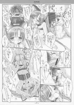 Page 17 of Teto Lita