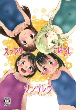 Download Ecchi na Gohoushi Cinderella