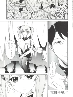 Page 41 of Nadesico Nyan Nyan