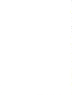 Page 19 of Ore no Imouto ga Konnani Kawaii Kaltutara Naa Ketsu