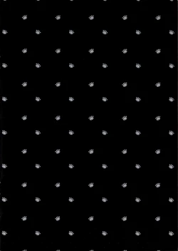 Page 3 of 2 COMANA AHO-CHAN