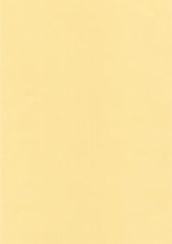 Page 91 of Aoi inarizushi